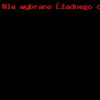 Światowy Dzień Pluszowego Misia _2